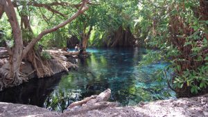 Day trip to kikuletwa water spring Tanzania