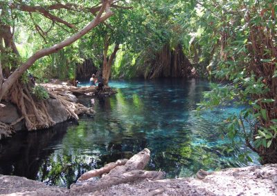 Chemka Hot Springs (Kikuletwa) Day Trip