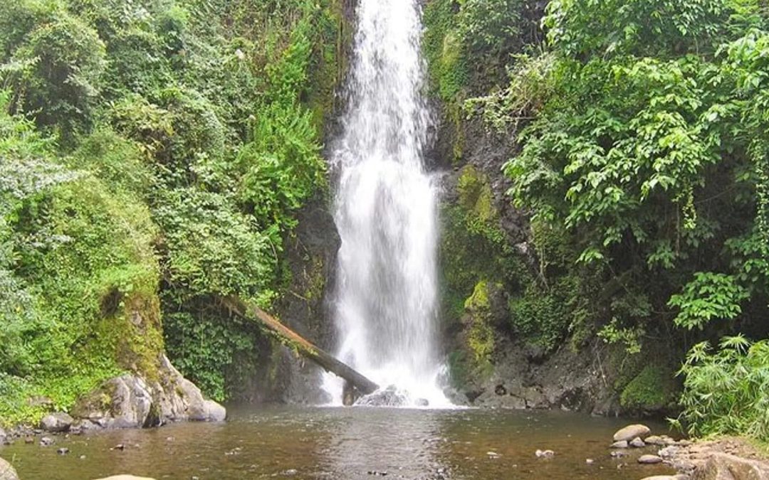 Marangu Village Visit and Chagga Cultural Experience