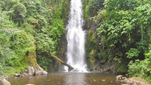 Marangu Waterfalls and Chagga Cultural Tour in Moshi