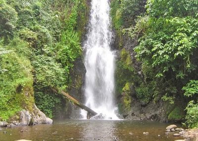 Marangu Village Visit and Chagga Cultural Experience