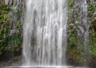Explore Materuni Waterfalls and Chagga Coffee Farm