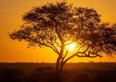 7-Day Tanzanite Ultimate Luxury Tour