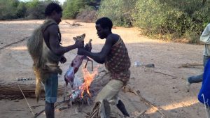 Bushmen Hadzabe Tribe in Lake Eyasi Preparing a DikDik for Food